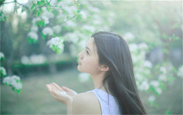 桥西验血查男女几周可以验(验血查男女结果图)